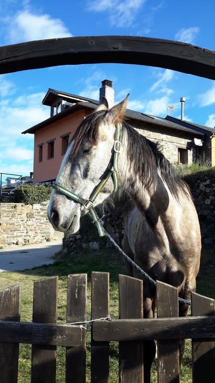 El Acebo de San Miguel La Trucha Del Arco Iris Bed & Breakfast エクステリア 写真